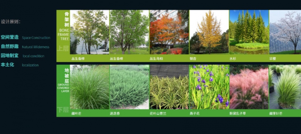 Riverside Landscape Design of Green Belts on Both Sides of Dadongjiang