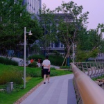 大东江软件谷滨河公共空间再生，宁波 / 易莫兰迪生态景观设计