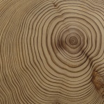 Timber Studio办公楼，日本 / 高田浩一設計事務所