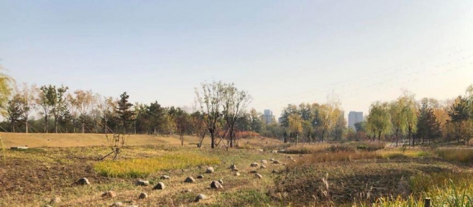 Luxian Ancient City Site Museum by BIAD Li Yinong Studio