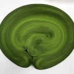 《Striated》展览，比利时 / Jae Ko