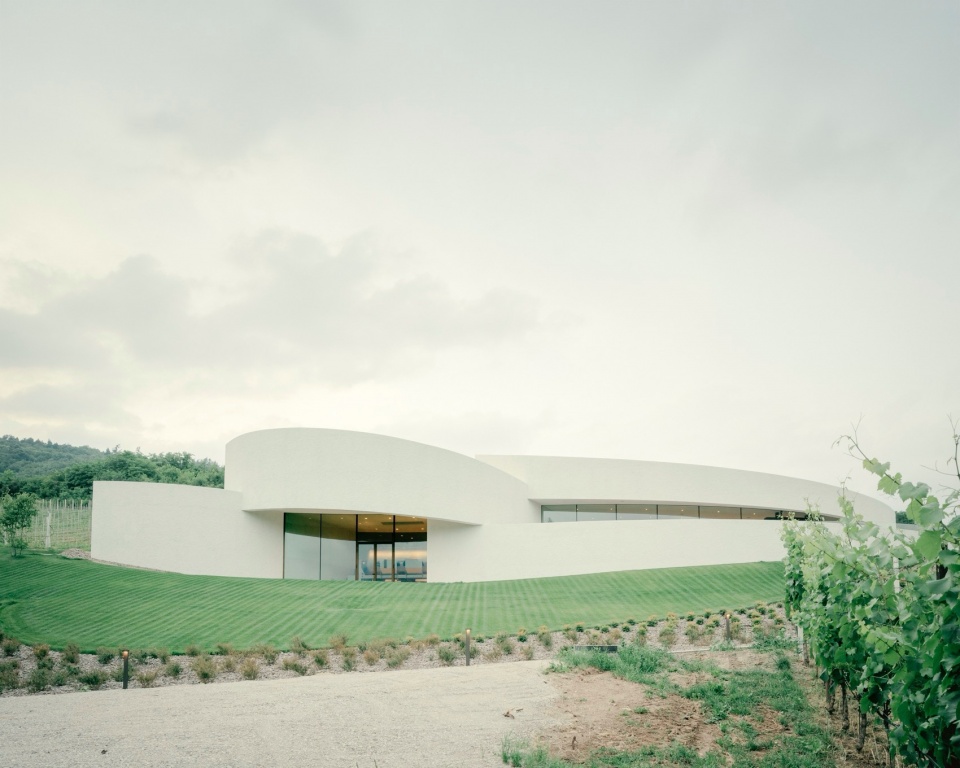Moncalisse Winery Stuflesser Moroder