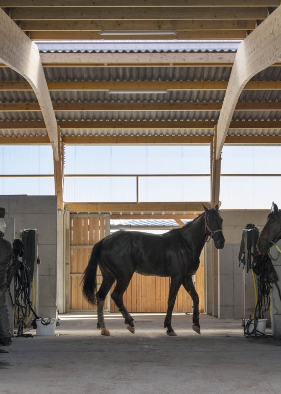 construction of a stable in lassay les chateaux 53 by carmen maurice architecture