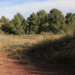 Alfinach Development by Balzar Arquitectos