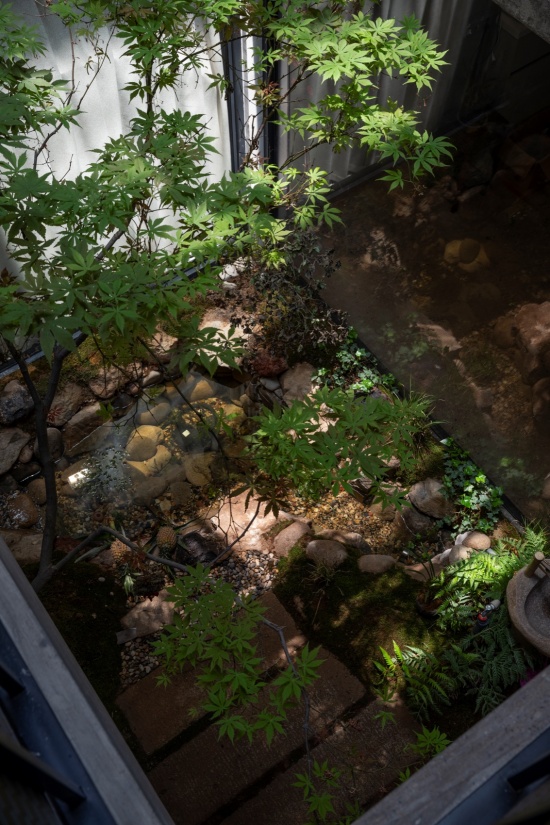 the courtyard house by li wenxi architects