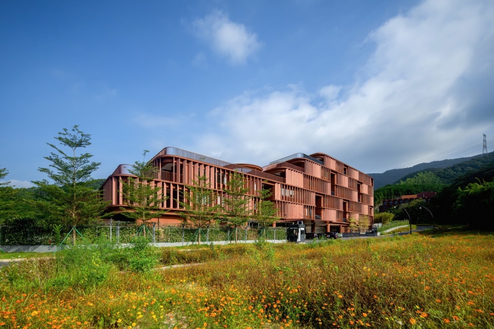 A Floating School Amidst Forests