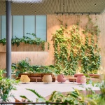 Heads办公园区，德国 / Ippolito Fleitz Group