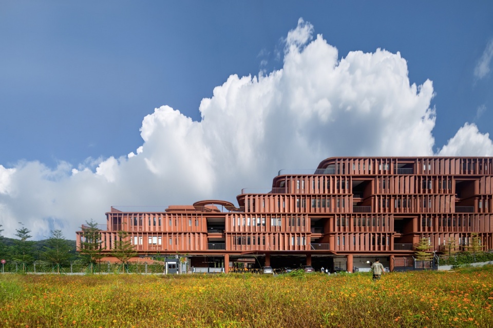 A Floating School Amidst Forests