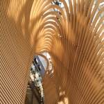 Timber Studio办公楼，日本 / 高田浩一設計事務所
