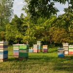University of Guelph Honey Bee Research Centre by Moriyama Teshima Architects
