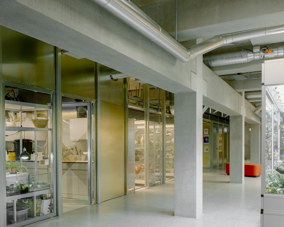 cantonal school limmattal by penzisbettini architekten ethsia gmbh
