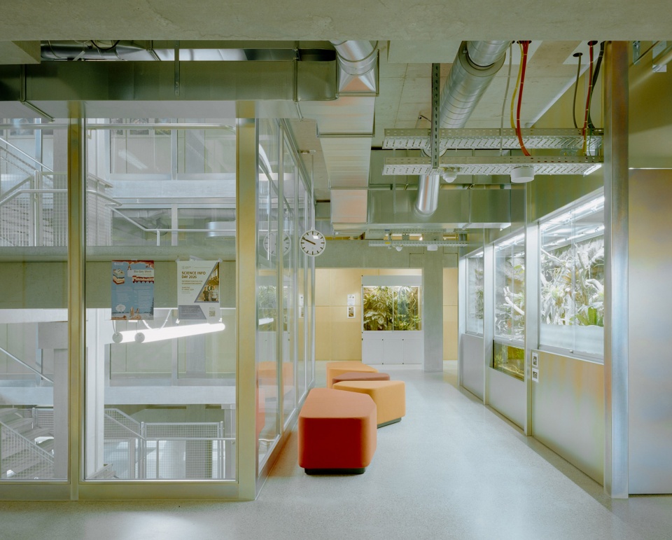 cantonal school limmattal by penzisbettini architekten ethsia gmbh