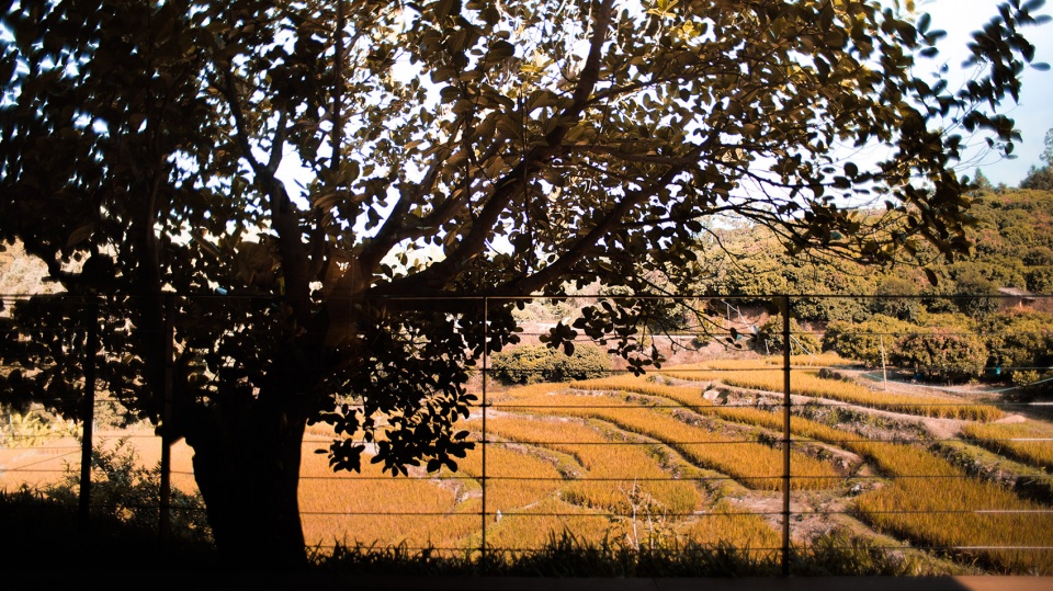 guangzhou ji yun yao resort landscape design by line plus