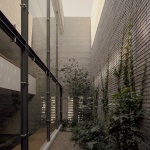 避居之所，墨西哥 / Taller Segovia Molina