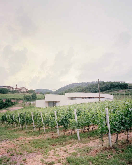 Moncalisse Winery Stuflesser Moroder