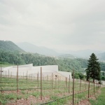 Moncalisse Winery by Stuflesser Moroder