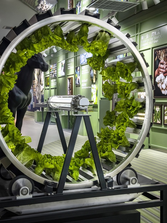 ongdeng ganwei fresh cut produce superfactory exhibition hall by fllllly design