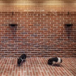 Pignic Cafe横滨店，日本 / KAMITOPEN
