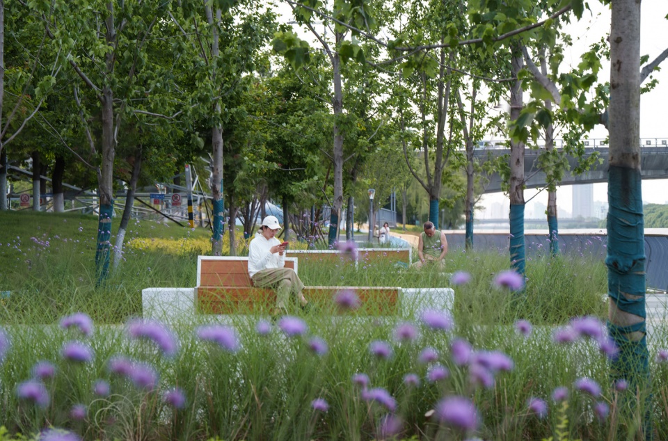 phase i landscape improvement project along the grand canal xinwu district wuxi by myp inc