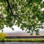 馬頭歌川广重美术馆改造，日本 / 隈研吾建筑都市设计事务所