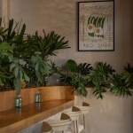 Mimado餐厅，墨西哥/ Ga__p Studio