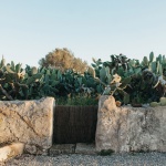 Son Martorell by idearch studio