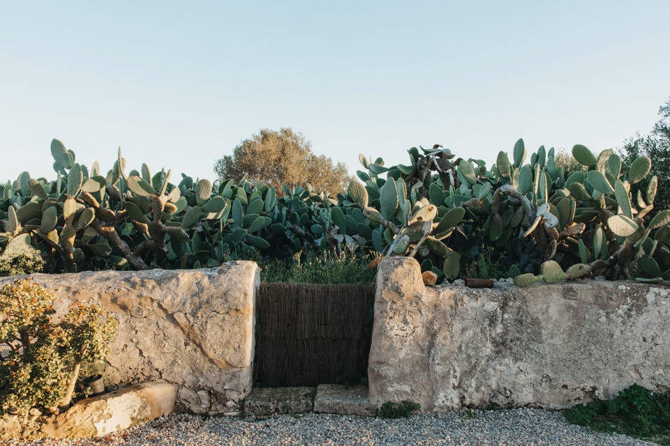 son martorell by idearch studio