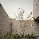 避居之所，墨西哥 / Taller Segovia Molina