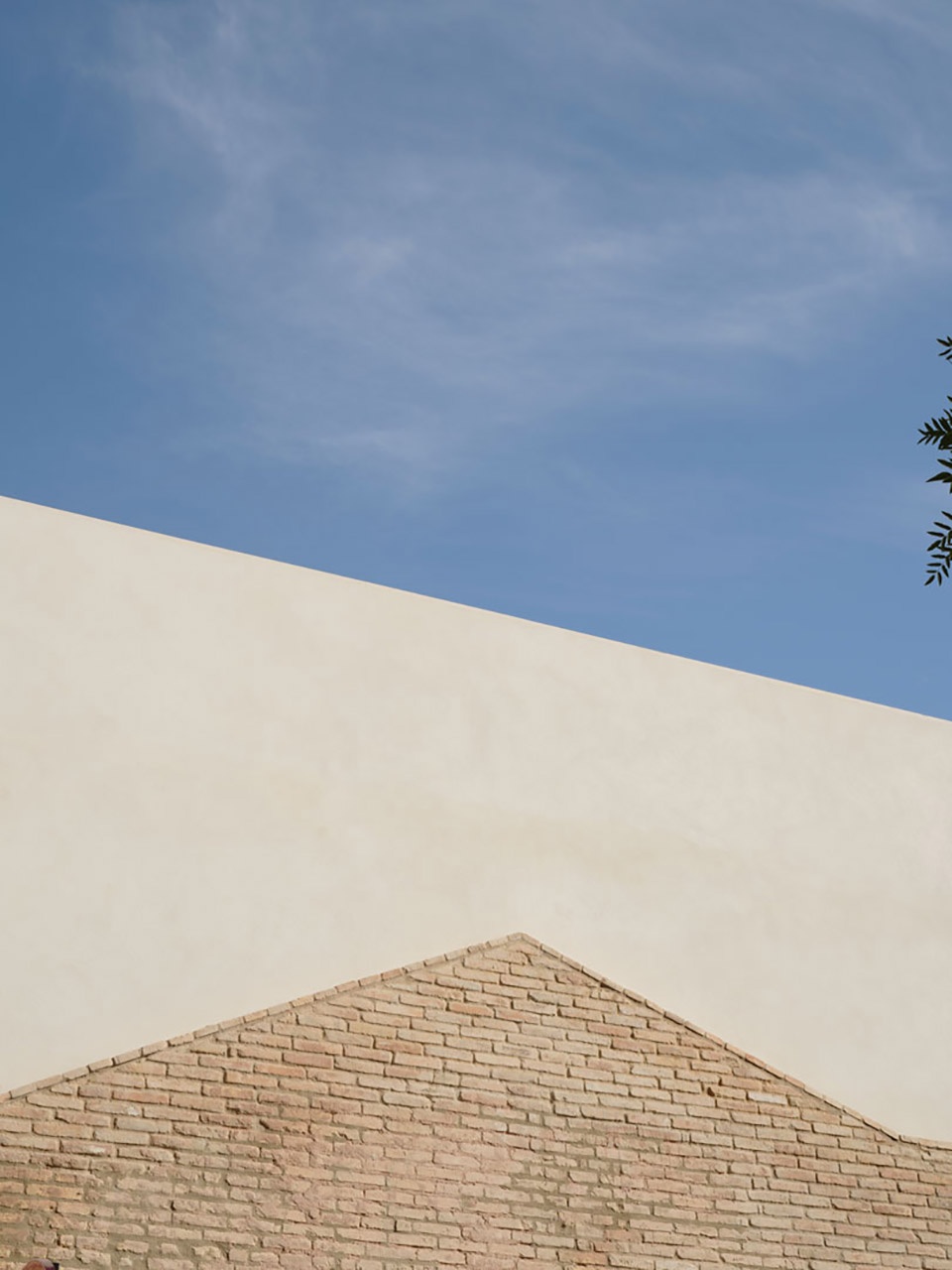 nested house by iterare arquitectos