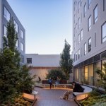 730 Stanyan经济适用住宅，旧金山 / OMA