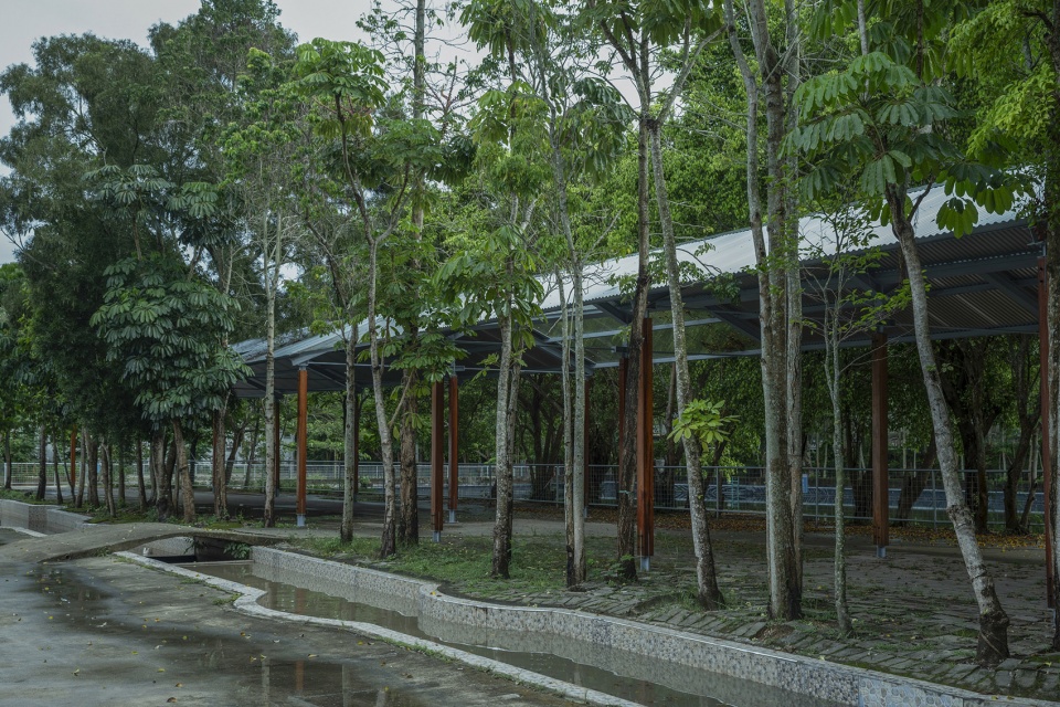 canopy design at starfire camp by cm design