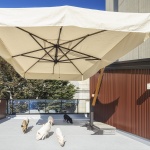 Pignic Cafe横滨店，日本 / KAMITOPEN