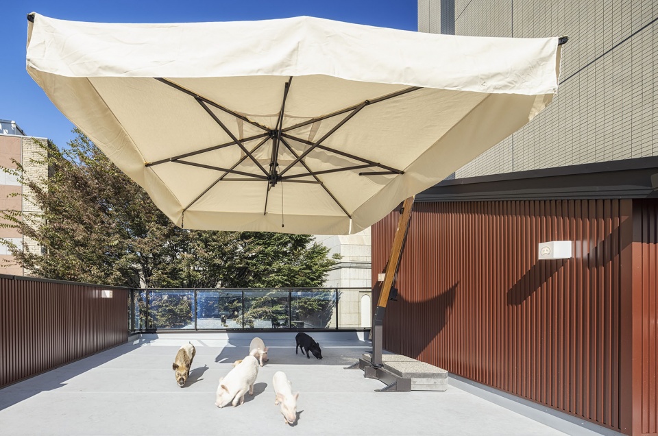 pignic cafe Yokohama by KAMITOPEN