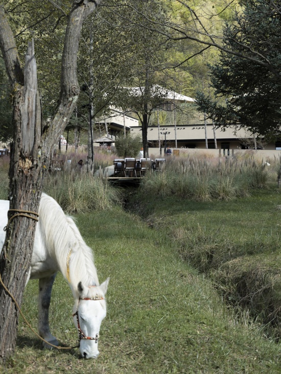 jiuzhaigou county vacilando holiday estate by turninglab