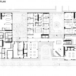 730 Stanyan经济适用住宅，旧金山 / OMA