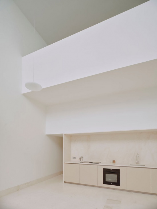 nested house by iterare arquitectos