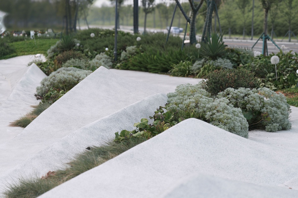 The Splash Plaza Sparked by Urban Energy