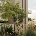 Kerany住宅，墨西哥 / Di Frenna arquitectos