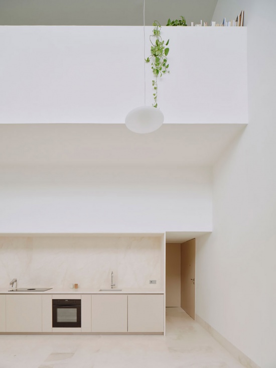 nested house by iterare arquitectos