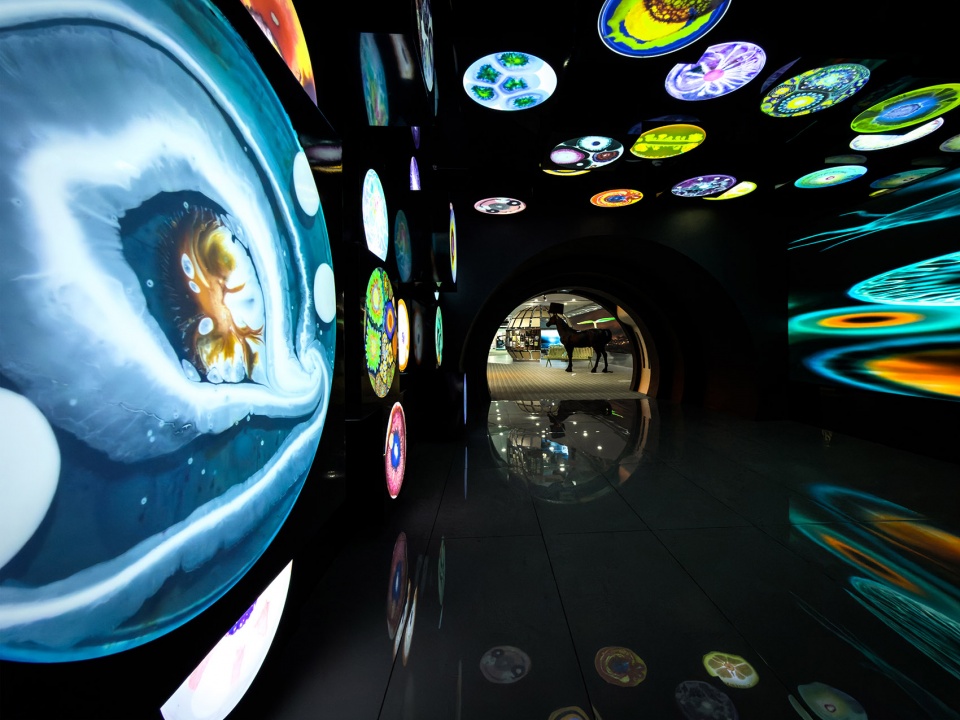 ongdeng ganwei fresh cut produce superfactory exhibition hall by fllllly design