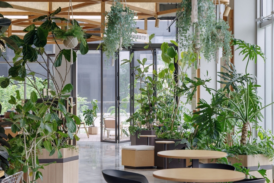 Wanhua Green Heart Food Market Yunlang Canteen by XU Studio