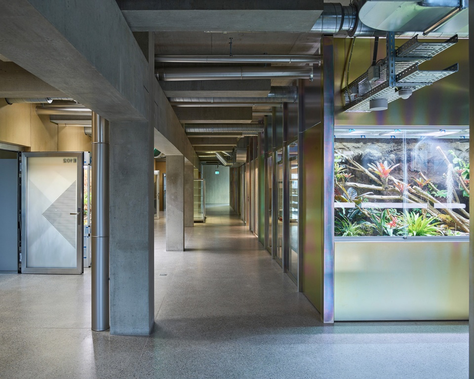 cantonal school limmattal by penzisbettini architekten ethsia gmbh