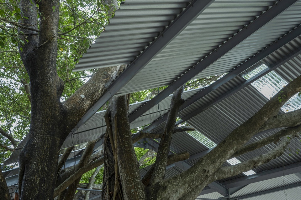canopy design at starfire camp by cm design