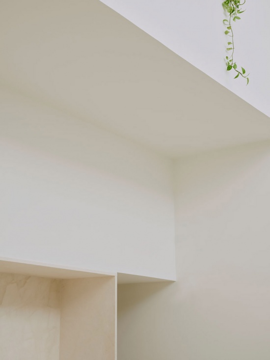 nested house by iterare arquitectos