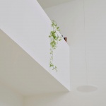 Nested house住宅，西班牙 / Iterare arquitectos