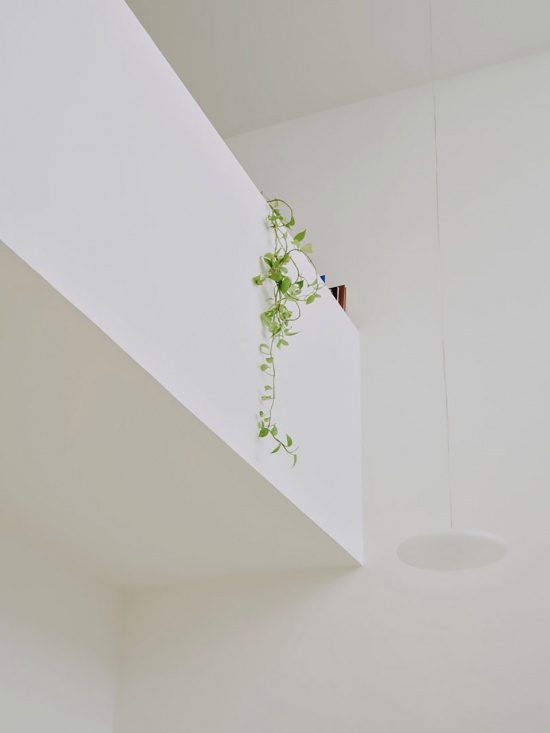 nested house by iterare arquitectos