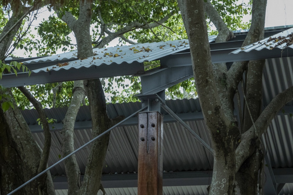 canopy design at starfire camp by cm design