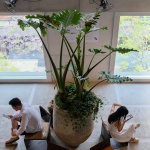 aa安安，重庆 / 几里建筑