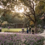 漕溪公园，上海 / VIA维亚景观 + 济宇建筑