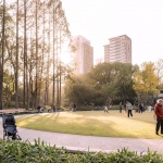 漕溪公园，上海 / VIA维亚景观 + 济宇建筑